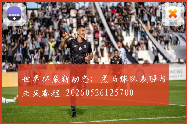 世界杯最新动态:黑马球队表现与未来赛程_20260526125700