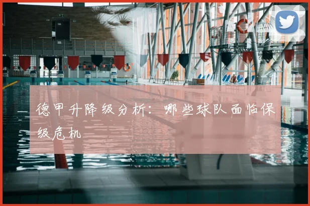 德甲升降级分析：哪些球队面临保级危机